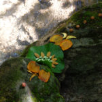 mandala comestible rivière