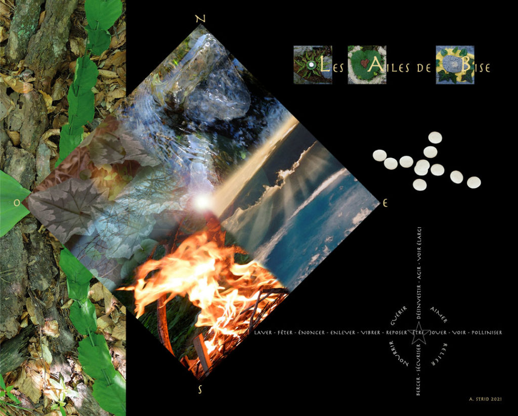 poster des Ailes de Bise d'A. Strid