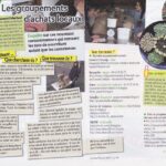 calebasse-article-viedourle