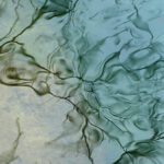 Reflets-Vis-Madieres-9