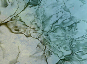 Reflets-Vis-Madieres-9