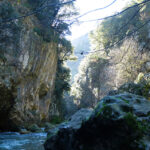 chapitre-journal-solstice