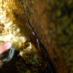 dormir-doigts-dans-l-eau