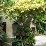 jardin-d-aujargues-2