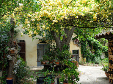 jardin-d-aujargues-2