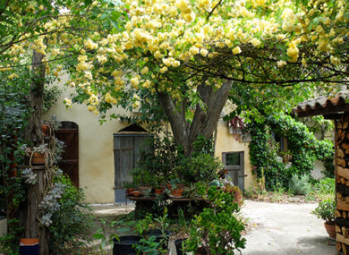jardin-d-aujargues-2