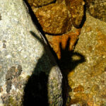 ombre-dans-pudivisse-1