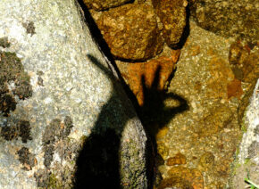 ombre-dans-pudivisse-1