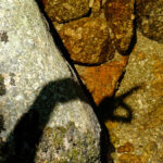 ombre-dans-pudivisse-2