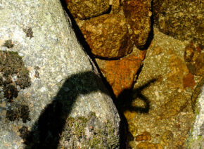 ombre-dans-pudivisse-2