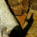 ombre-dans-pudivisse-3