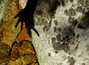ombre-dans-pudivisse-4