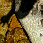 ombre-dans-pudivisse-5