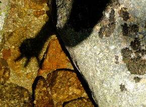 ombre-dans-pudivisse-5