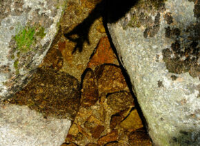 ombre-dans-pudivisse-6