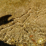 ombre-mejarie-pudivisse-5