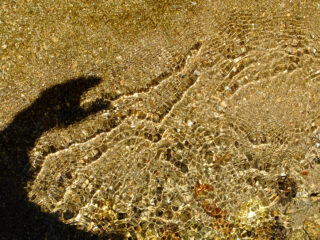 ombre-mejarie-pudivisse-5