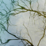 reflets-Vis-Madieres-1