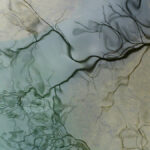 reflets-Vis-Madieres-2