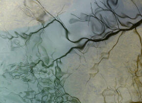 reflets-Vis-Madieres-2