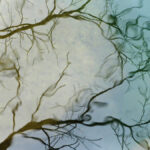 reflets-Vis-Madieres-3