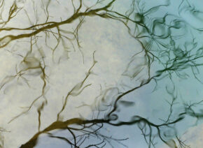 reflets-Vis-Madieres-3