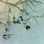 reflets-Vis-Madieres-4