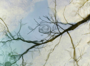 reflets-Vis-Madieres-6