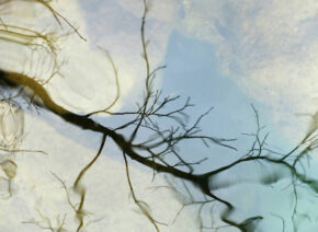 reflets-Vis-Madieres-7