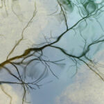 reflets-Vis-Madieres-8