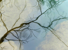 reflets-Vis-Madieres-8