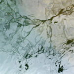 reflets-Vis-madieres-5