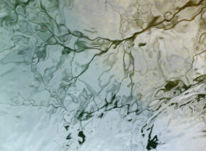 reflets-Vis-madieres-5
